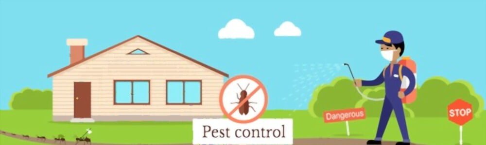 Pest Control Services