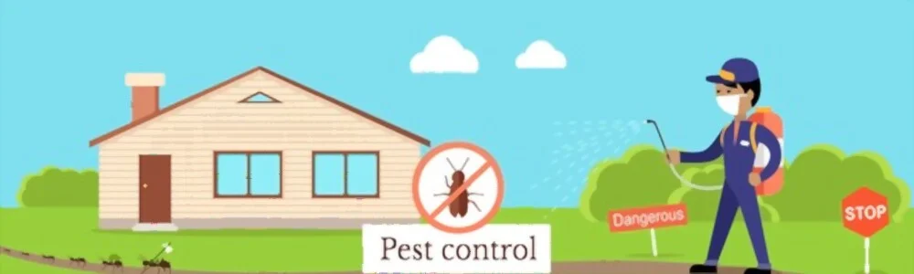 Pest Control Services Pest Control Services